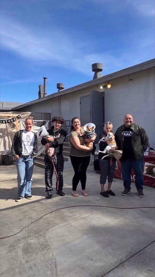 Community members waiting with their dogs