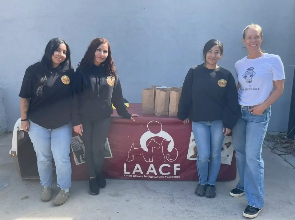 Volunteer with dog after check-in at the event