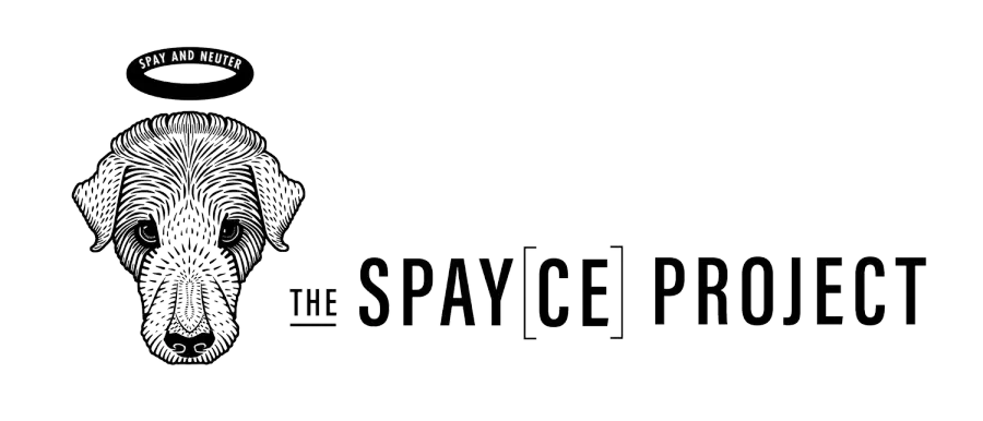 The Spayce Project