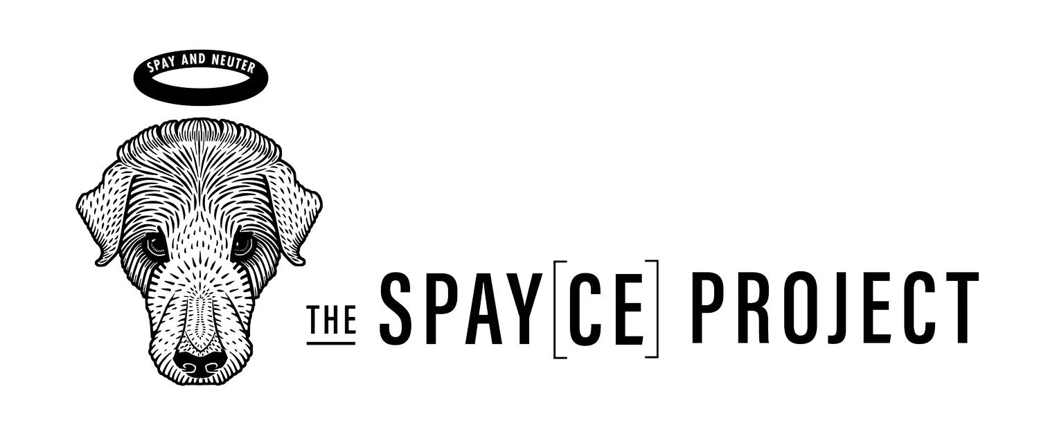 The Spayce Project